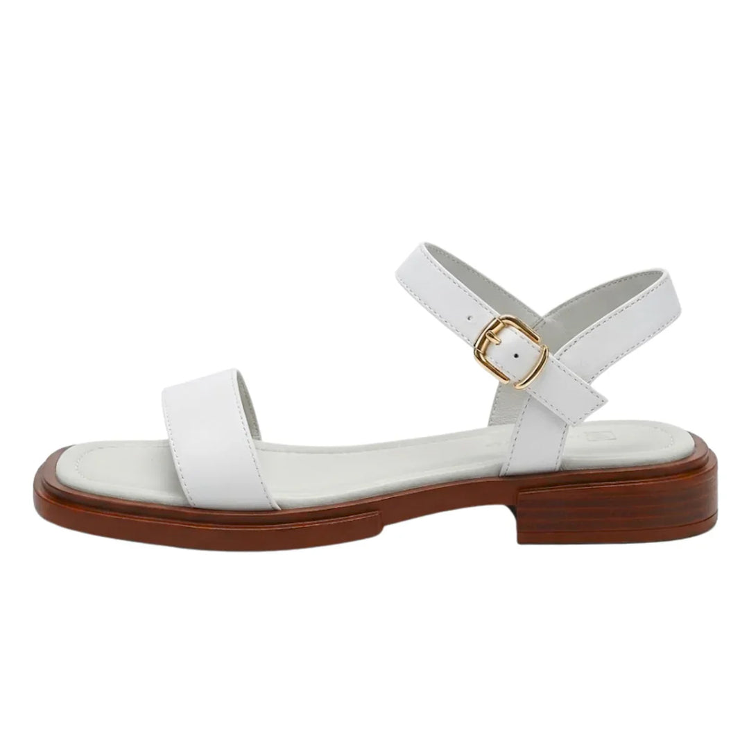 Brianna | Damen Verstellbare Riemchensandalen Flach - Black - Image 5
